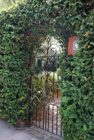 Garden gate - Charleston South Carolina